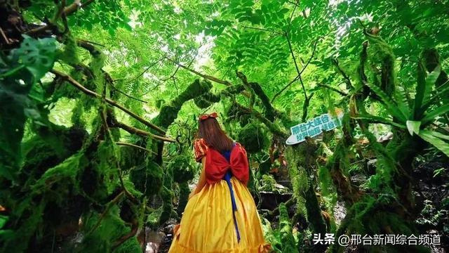 河北省“魅力太行研学5日游”线路！邢台2景区入选