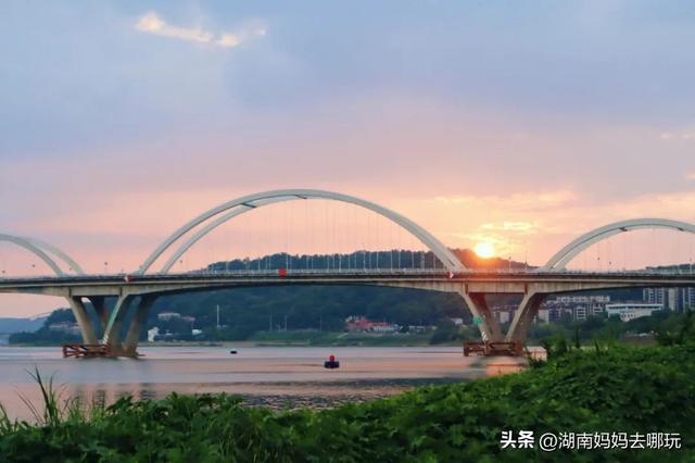 1h车程，带娃在这里挖到“宫崎骏同款夏天”！