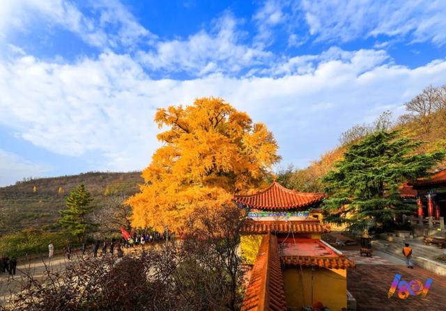 顶流“约会”，主角2500岁 ！潍坊安丘城顶山！