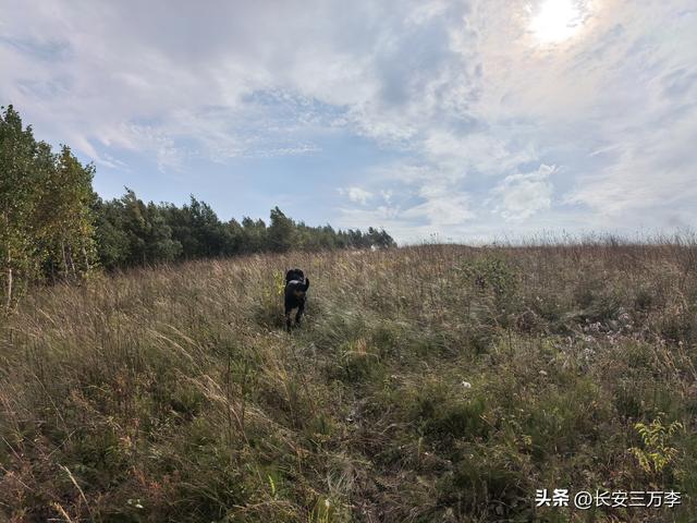 北上大草原第7站：入住贡格尔草原深处