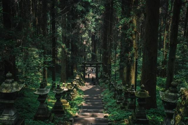 真正会玩的人，都去日本乡下了！