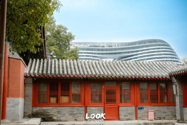 北京最新秋日打卡地 · 再看要等明年