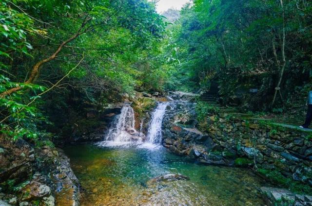 一年一度，免票景区回归！春天去这些地方再合适不过了
