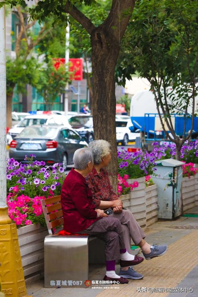 临夏市：一座把“浪漫”写进马路牙子的城市
