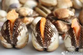 那些年，家家饭桌上离不开的毛嘎啦（毛蚶）图片