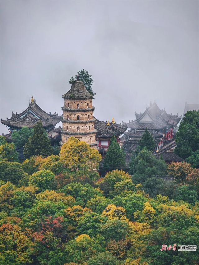 10月限定！奔赴甘肃，邂逅人间最美秋色