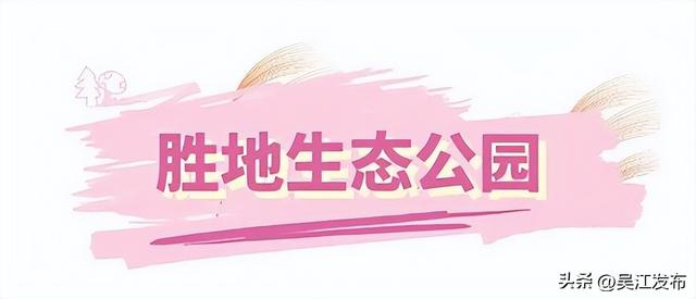 周末去打卡丨在吴江，赴一场粉色之约！