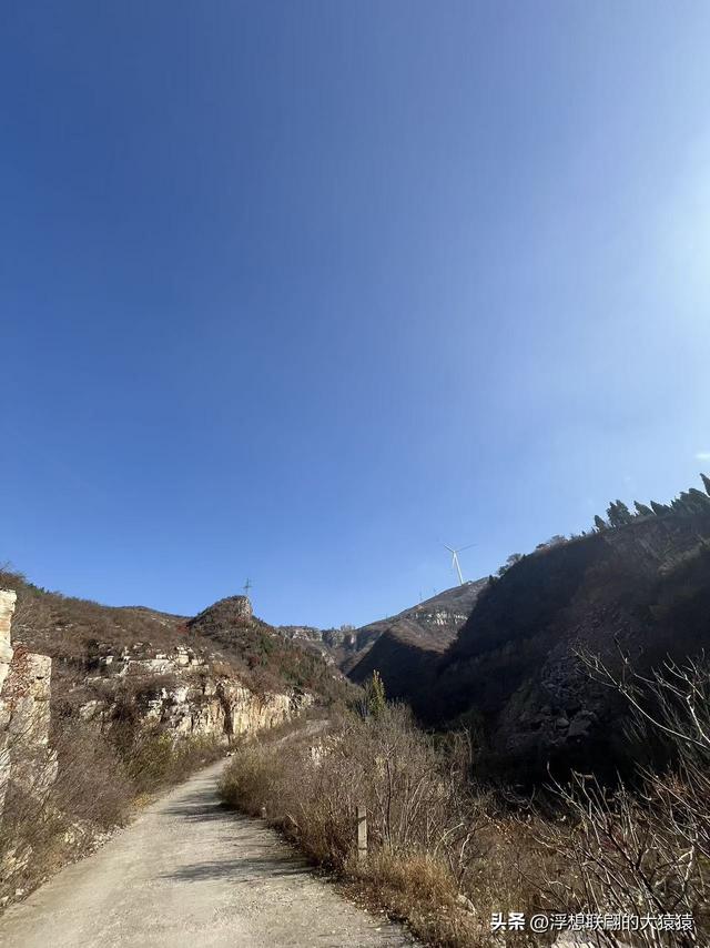 游赏过九鼎山后，我又跑到一户院里“强买”了大爷种在路边的白菜