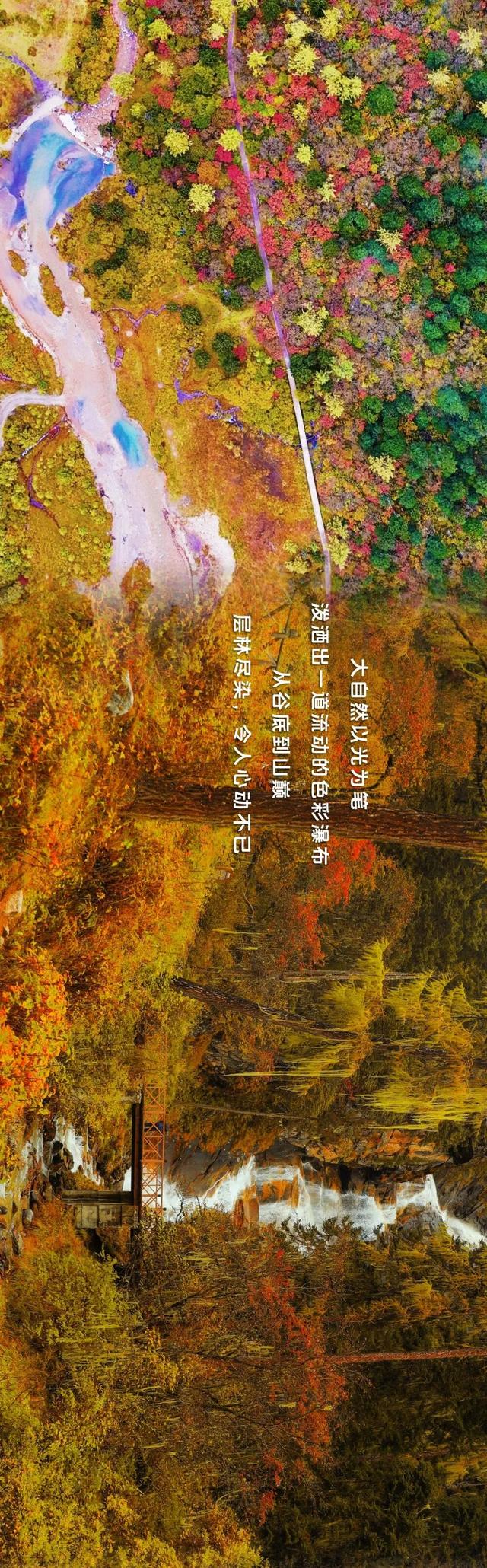 拍了拍毕棚沟的秋天：你的色彩已存档！