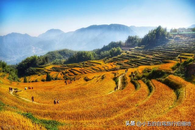 浙江周边秋季赏景全攻略！7 大类 36 个点位，柿子 / 稻浪 / 红枫一站齐
