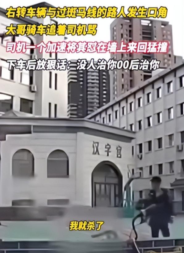 沈阳司机故意撞人后续，连续撞击下死手还拍视频炫耀，身份已被扒