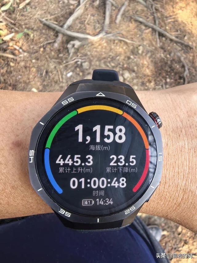 衢州老鹰石游步道，竹林里的徒步登山道