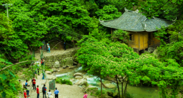 5年倒闭10家4A及以上景区！热门景区？为什么没人去了？