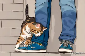 养猫久了才明白，猫一看到我就过来蹭我，原来是这些意思图片