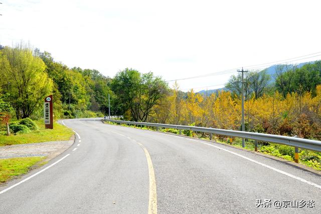 京山虎爪山赏秋：来得迟，景正好