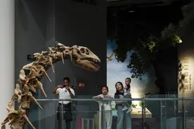 这个“十一”，不妨去辽宁古生物博物馆来场“穿越之旅”图片