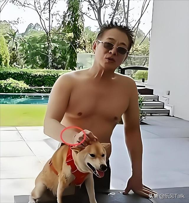 李连杰“换心”真相大白，向太曝更多内幕，一夜回春秘密终被揭开