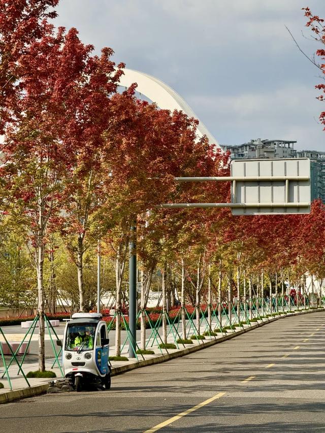 今日大雪 | 打卡这里,定格冬日专属美照