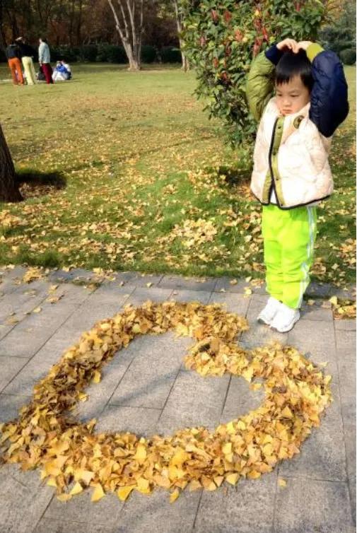 五彩斑斓的白龟湖国家湿地公园