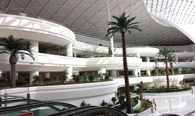 首富夫妻逃亡两年终落网，一人暴力抗法，一人狂卷9.7亿海外被抓