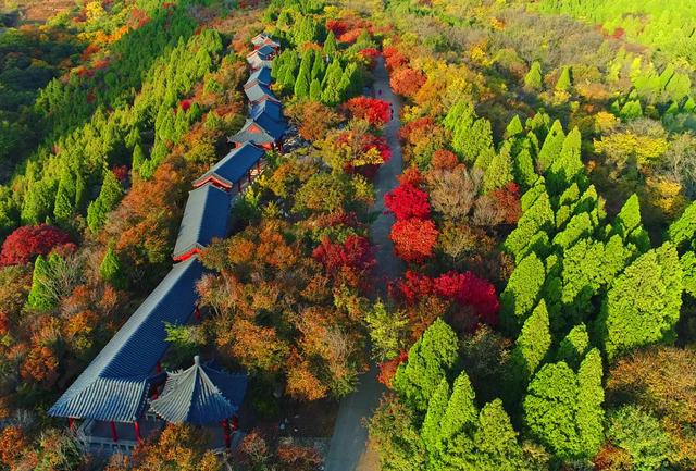 收藏！最美的11月游淄博，这些景区通通免费！