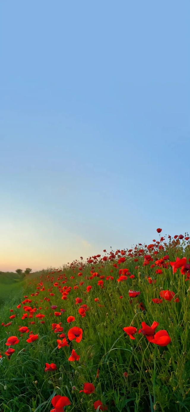 山川河流壁纸