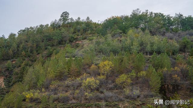自驾•重走长征路 42吴起会师90周年