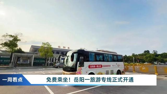 一周看点 | 一只“流量猫”，魅力有多大？
