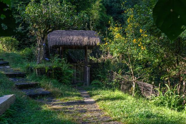 避暑腾冲丨19℃的腾冲，夏天是用来 “野” 的