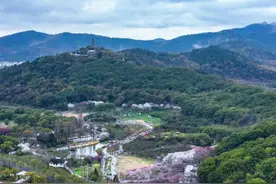 姑苏城外的山与寺图片