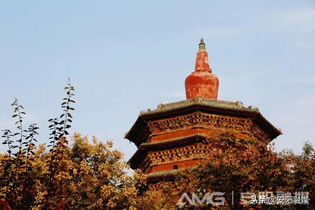 随手一拍都是大片！安阳深秋限定美景已上线→