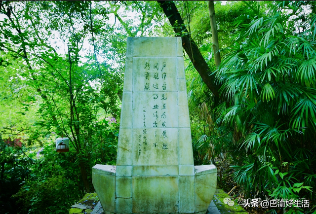 北碚公园竟是"大熊猫"命名地，原来藏着这么多秘密