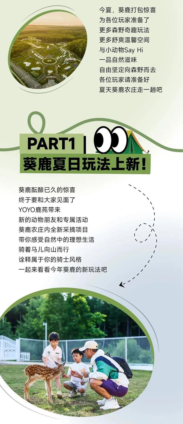 乘着高铁游白山 | “百区百景”打卡攻略之长白山华美胜地