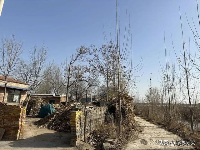 冠县乡韵·辛集镇饮马庄