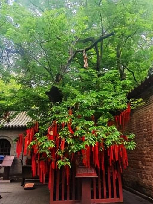 双节玩转济宁！核心景区活动清单：从儒家盛典到水浒豪情，每天都有新花样！