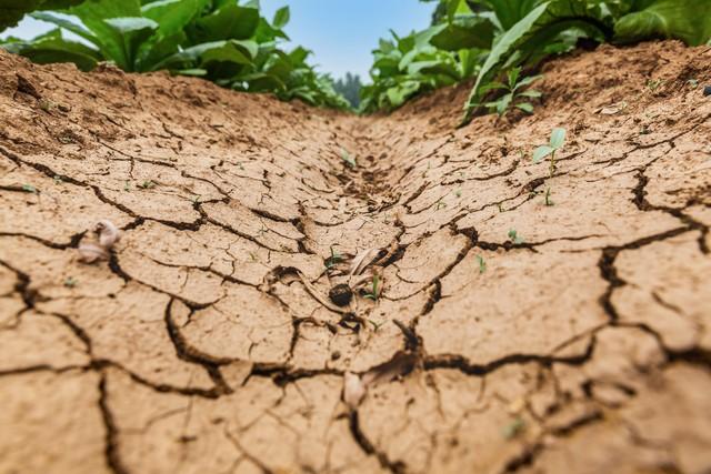 “雪大不大，就看九月三十”，今日九月三十，今年冬天有大雪吗？
