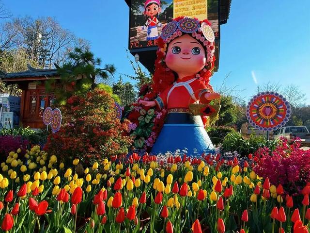 【网络中国节·春节】花海人潮映古城，八方游客来丽江过年