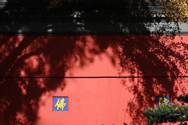 人挤人的南京，现在还值得去吗？