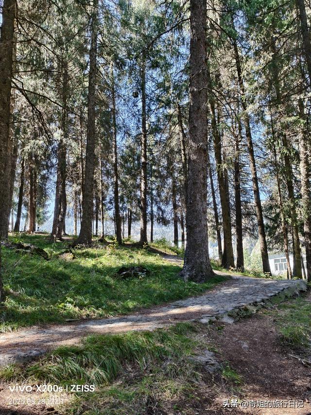 天山天池一一不能错过的风景，错过了一辈子都会后悔