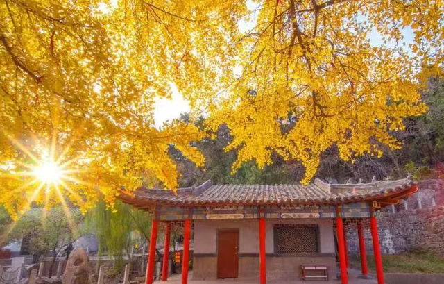 临沂人游临沂 | 一大波景区优惠福利来了