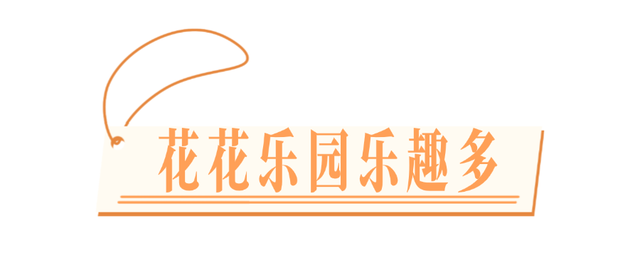 美到失语！15万株菊花，全屏视觉盛宴，3s不心动算我输