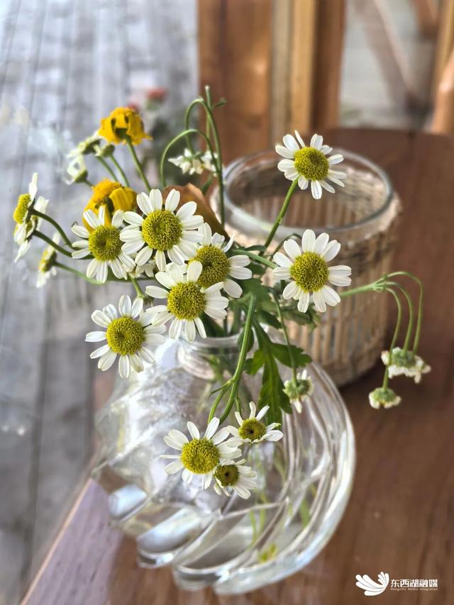 东西湖“落日收藏馆”成打卡热门地（有福利）