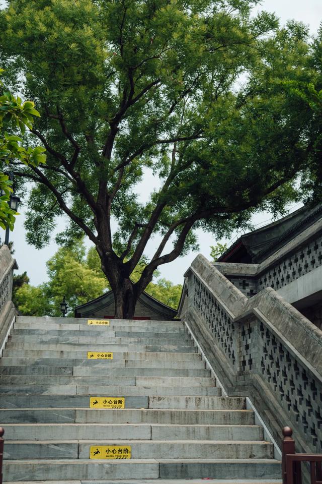 夏天来北京，就为了逛这座公园
