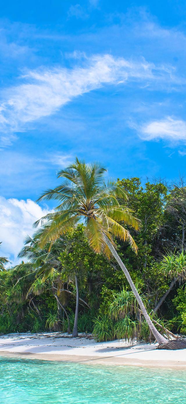 手机壁纸|美如画的自然风景