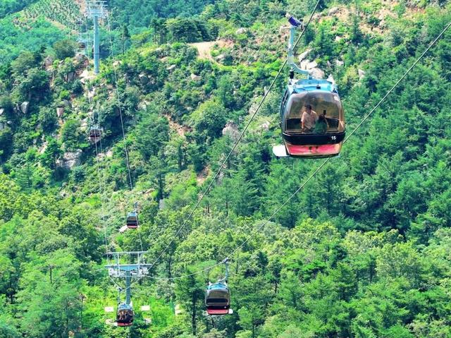 谁说旅游靠腿？来山东这么玩，日均步数＜5K！