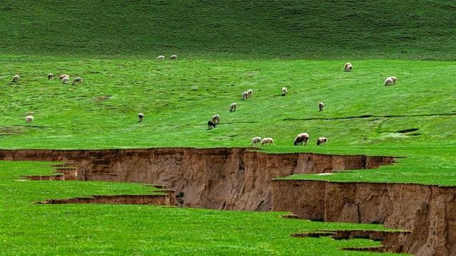 国家一级草场：新疆和田策勒亚门牧场