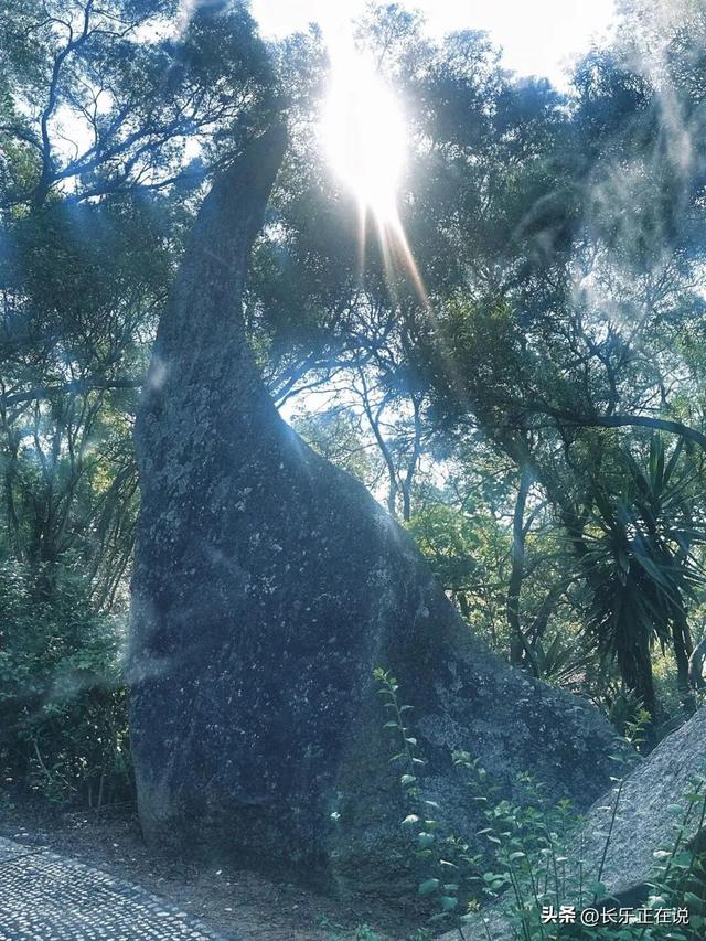 “神仙村落”！公园、温泉、氧吧、古宅......这处“后花园”美到心醉