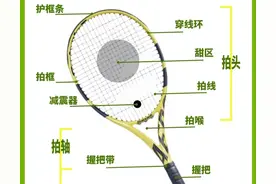 🎾网球小白必看！从0到1的网球入门秘籍，让你成为网球大师图片