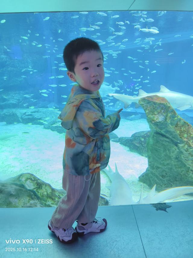 成都 极地海洋公园（58）2025年10月16日