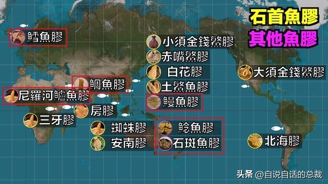 80头花胶多少钱一斤 2026年80头花胶什么意思